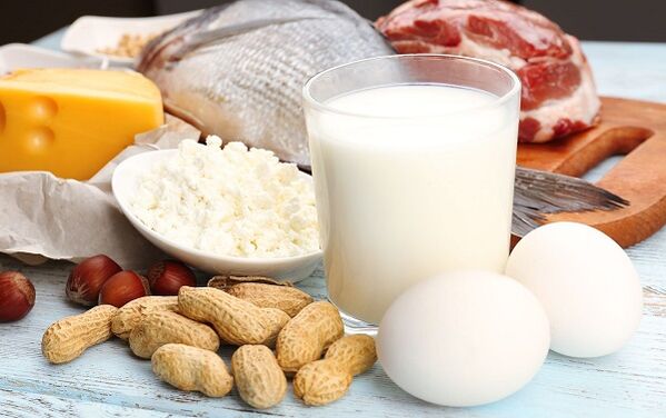 protein diet foods